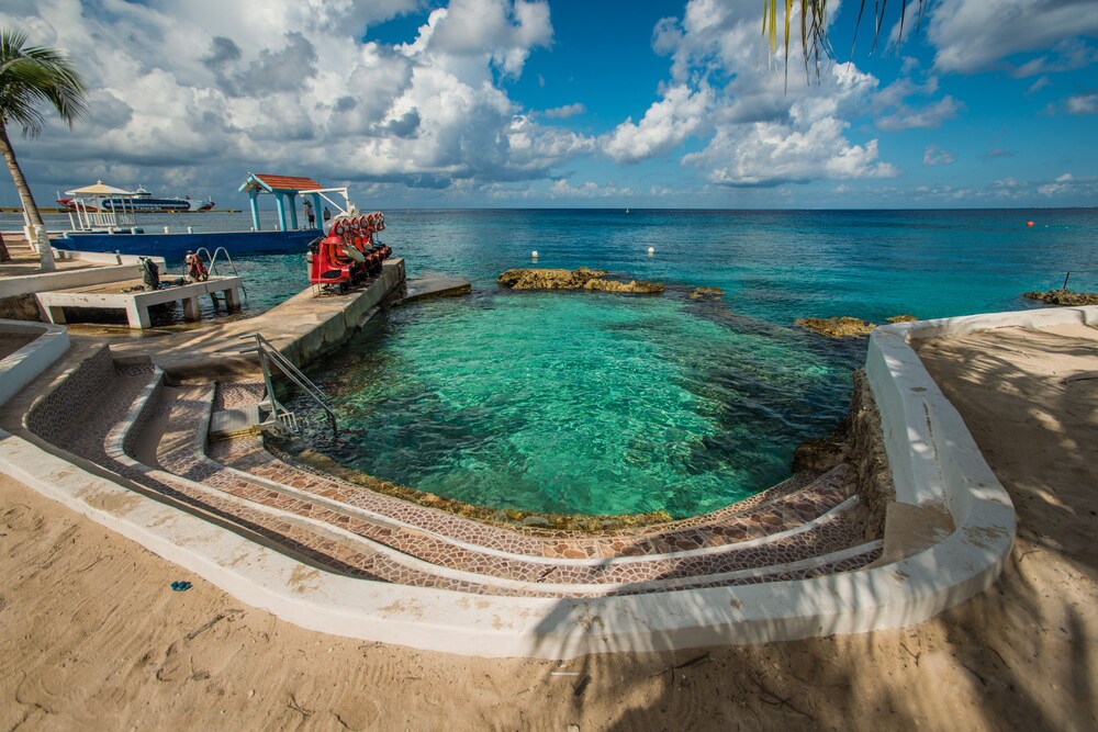 Natural Pool