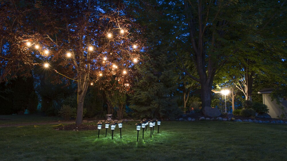 Outdoor Wedding Area