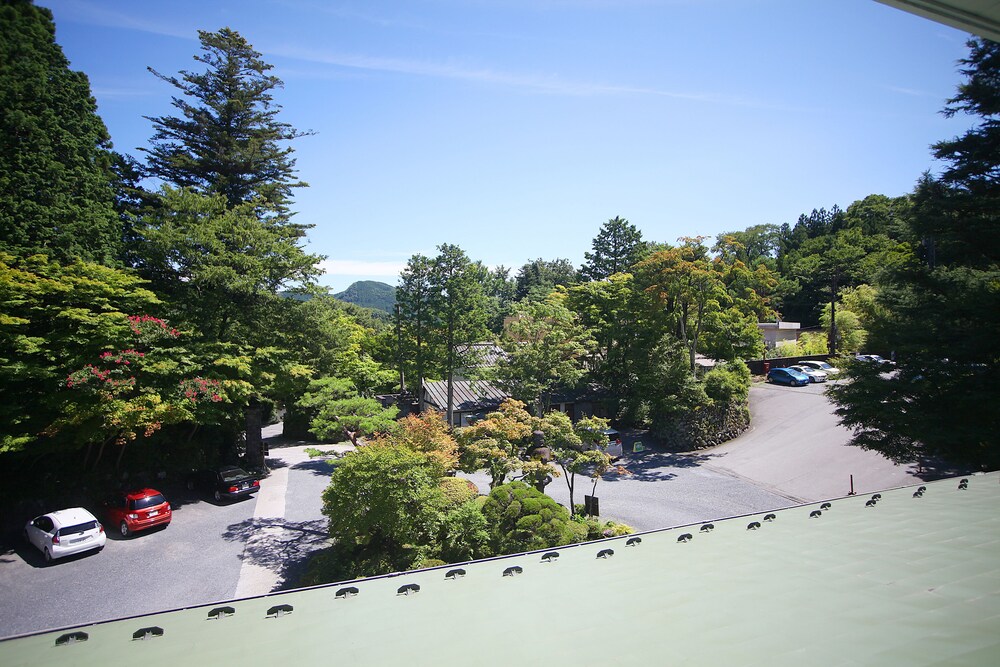 客室からの眺望