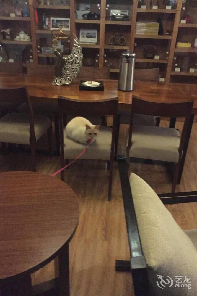 객실
