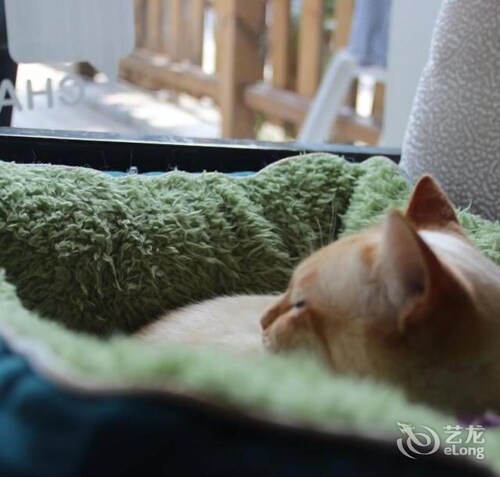 로비
