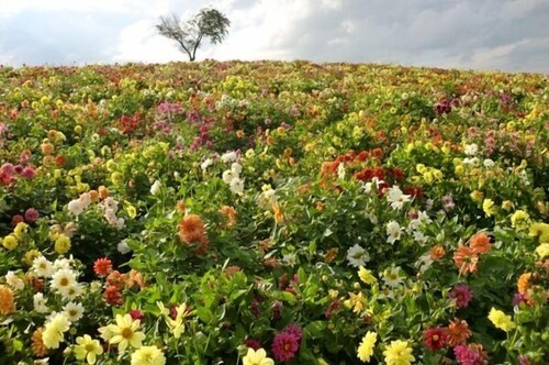 สถานที่น่าสนใจ