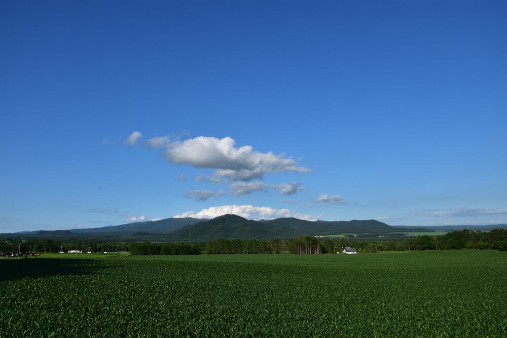 산 전망
