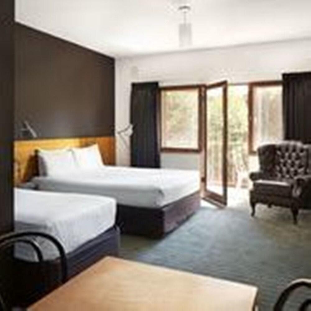 Standard Twin Studio - Guestroom