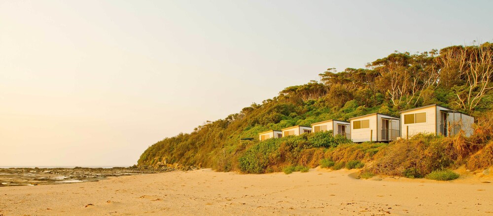 Standard Cabin, 1 Bedroom, Sea View - Guestroom
