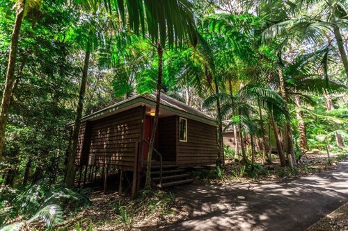 Songbirds Rainforest Retreat