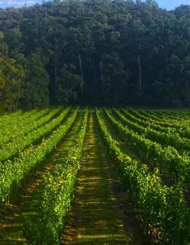 Valley Farm Vineyard Cottages