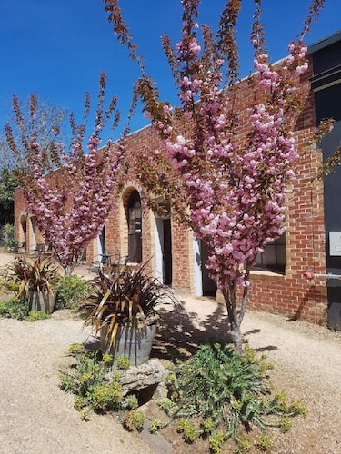 The Albert & Mills Guest House & Apartments