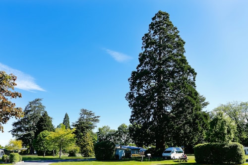 Geraldine Top 10 Holiday Park