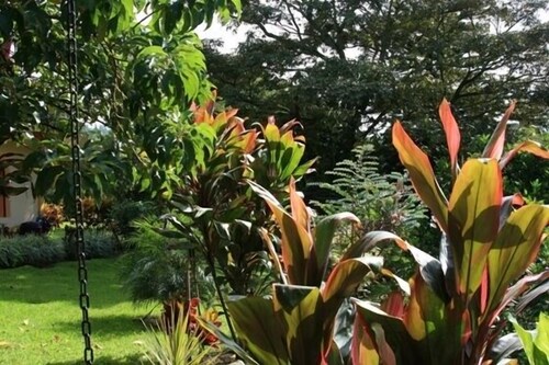 Jardín