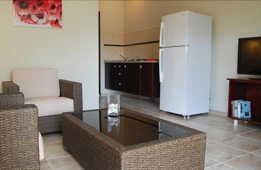 Apartment, 1 Bedroom - Living Room
