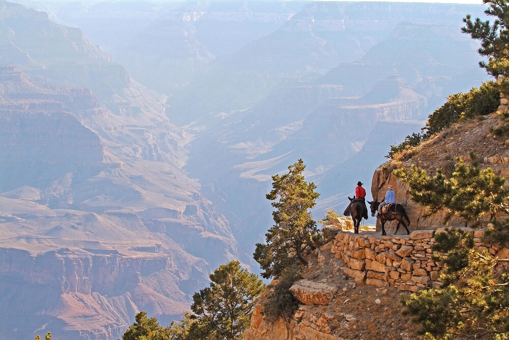 Horse Riding