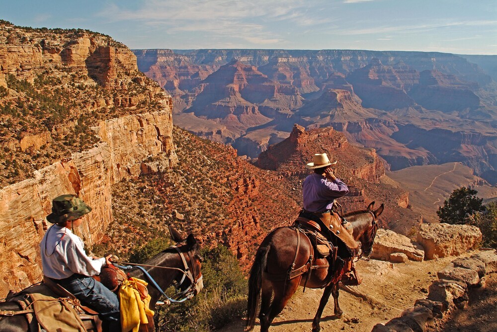 Horse Riding