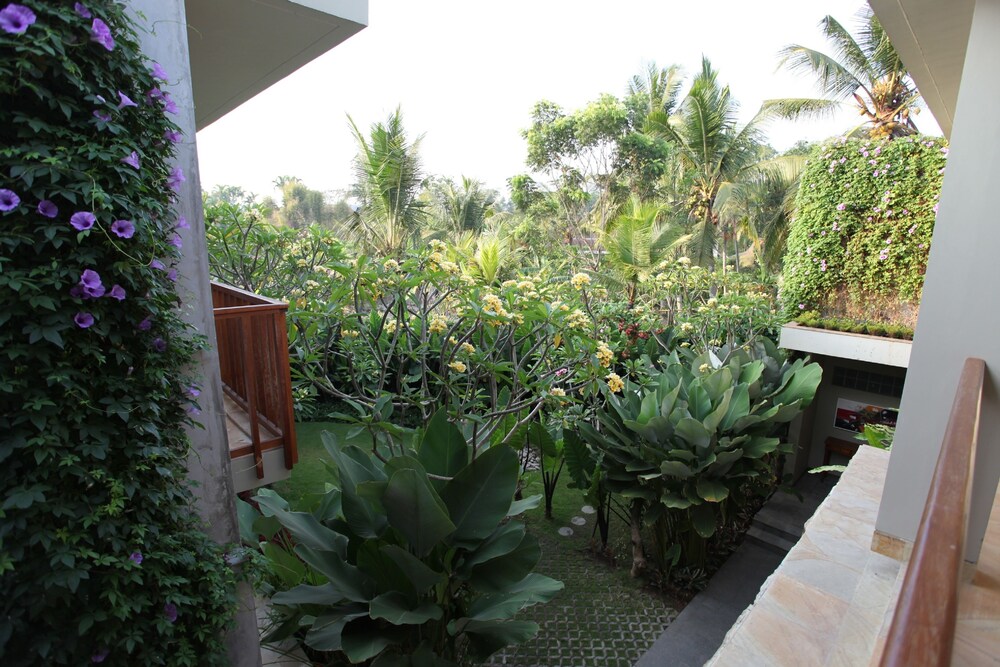 Pemandangan Kebun