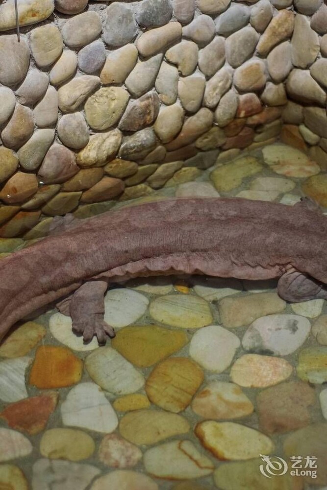 호텔 내부