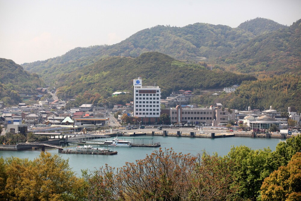 대표 사진