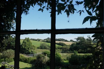 Guestroom View
