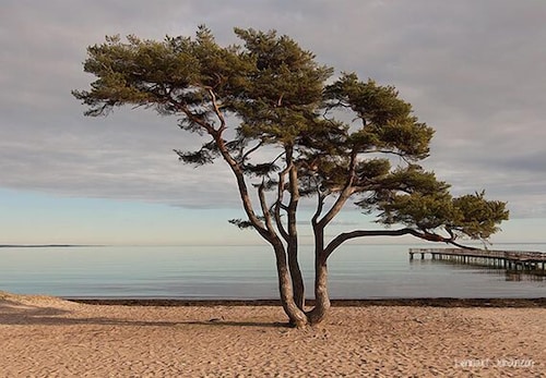 Åhus Seaside