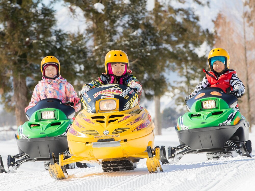 Snowmobiling