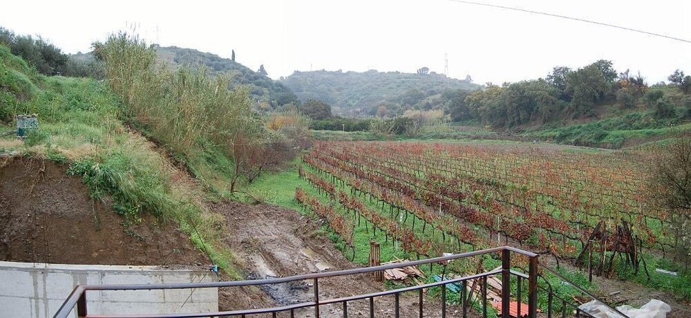 Vista dall'hotel