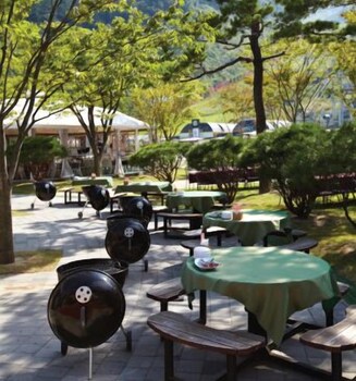 室外用餐