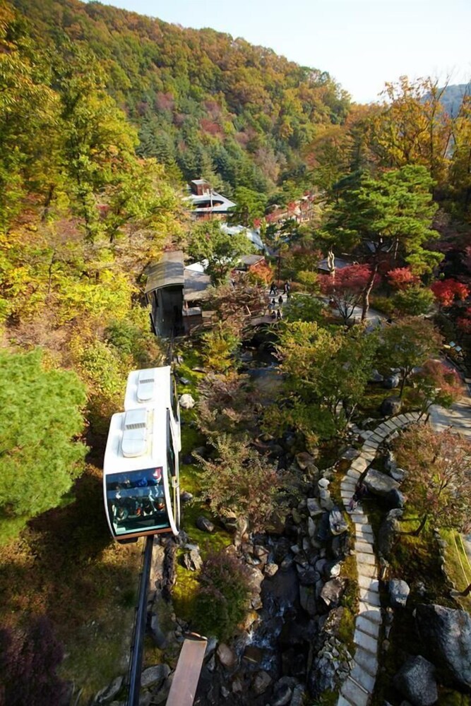 酒店场地