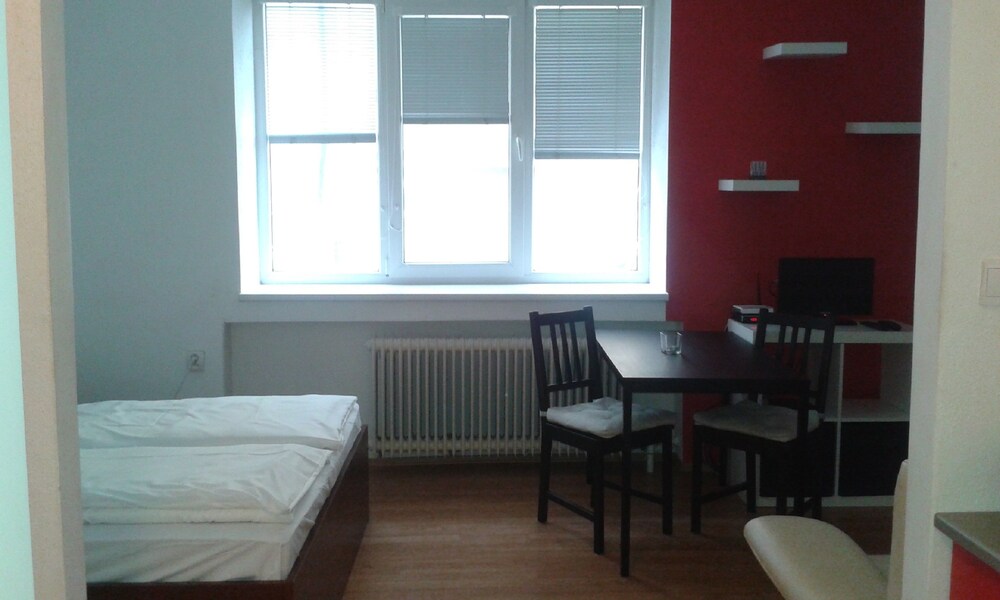 Vista della camera (Appartamento Comfort, 1 camera da letto, cucina)