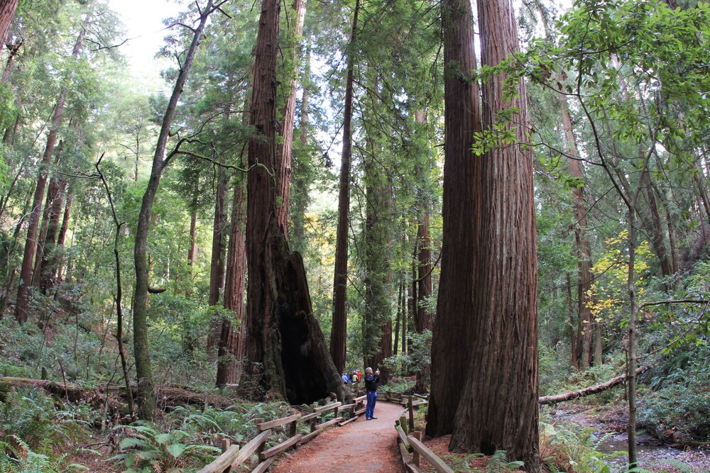 Hiking, Hotel Zephyr San Francisco