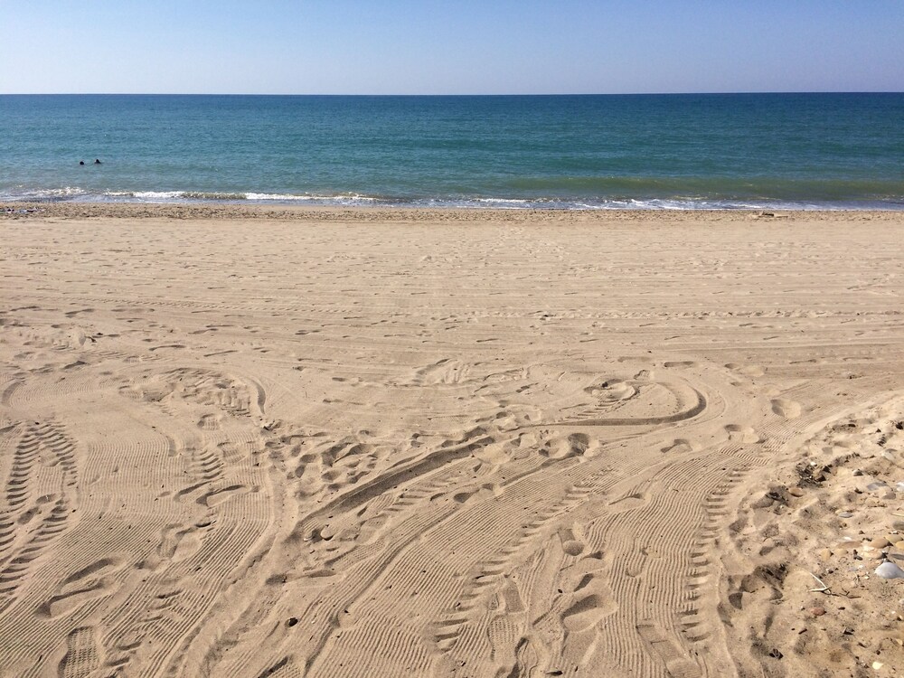 해변