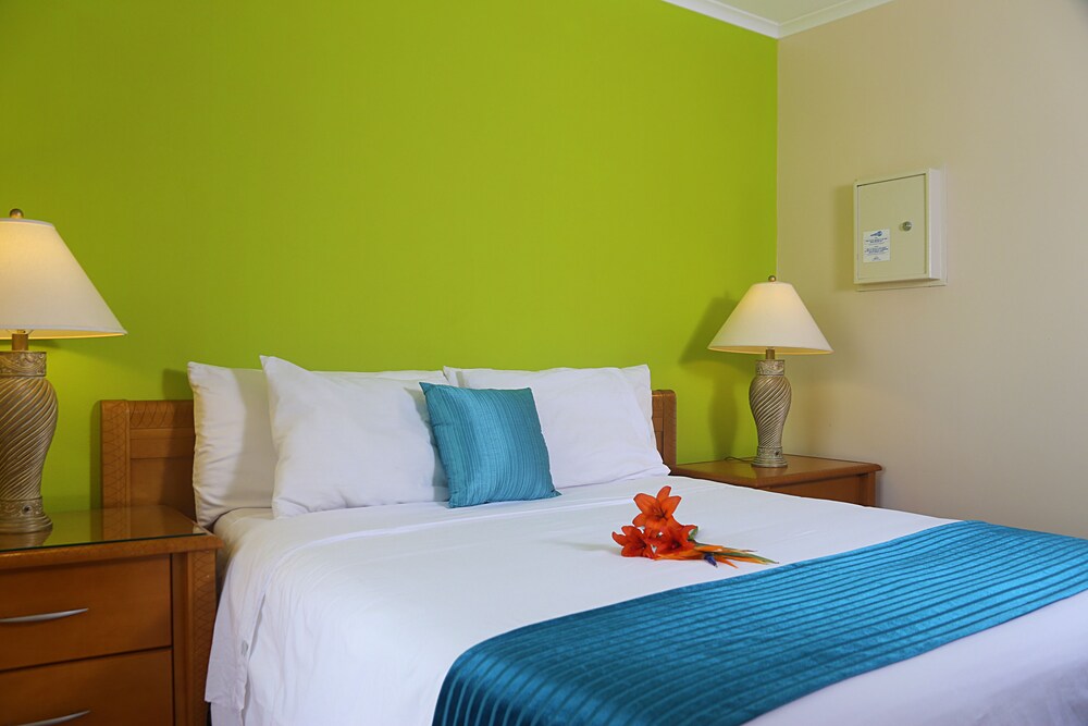 객실 (Renovated 1 Bedroom Apartment)