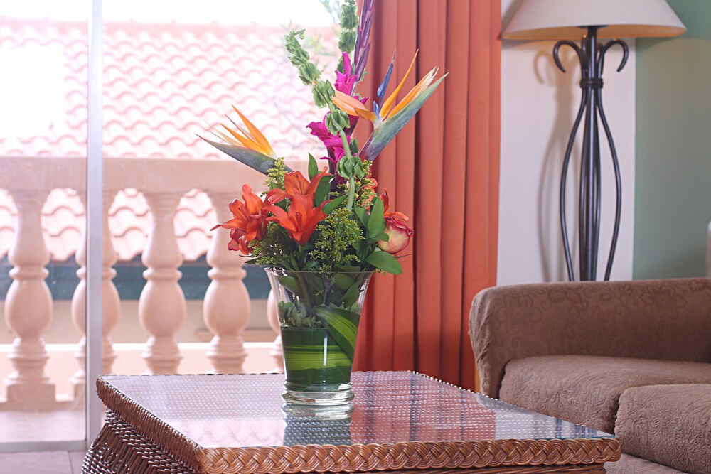 거실 (Renovated 2 Bedroom Apartment)