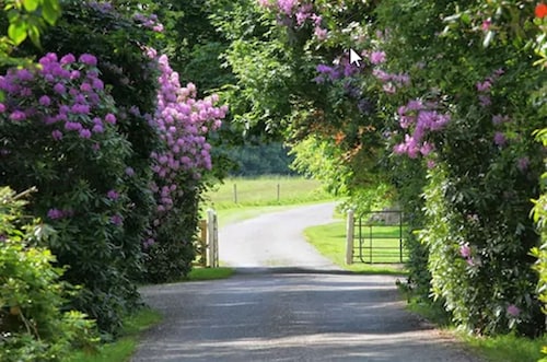 Ballymaloe House