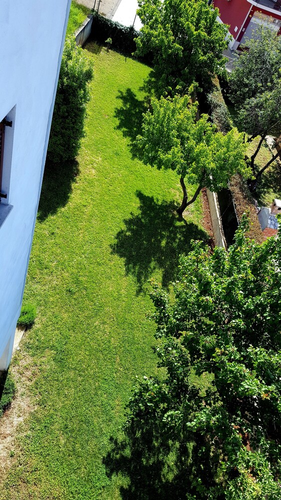 Basic Apartment, 1 Bedroom - Guestroom
