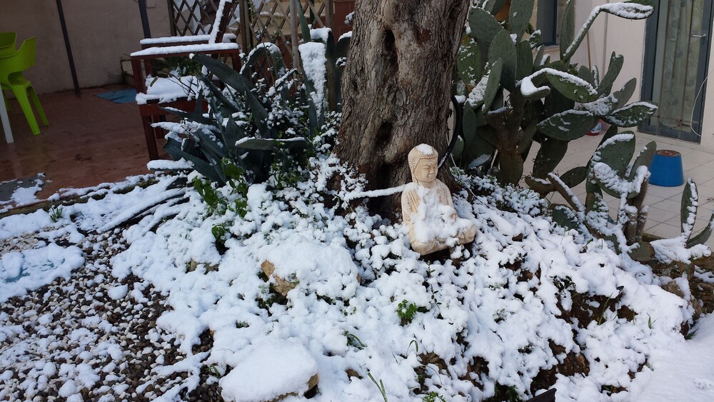 Giardino