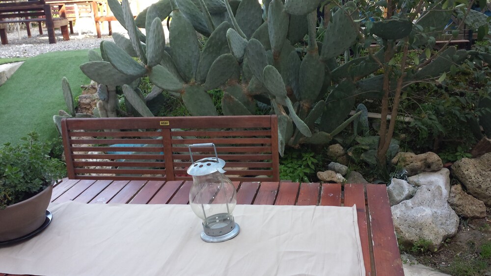 Giardino