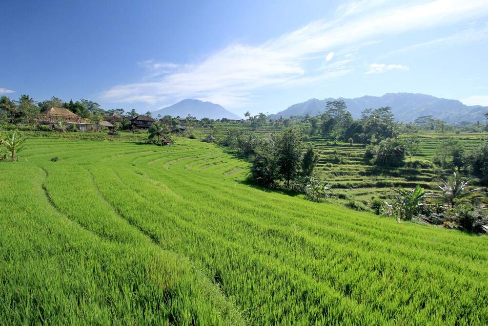 บริเวณโรงแรม