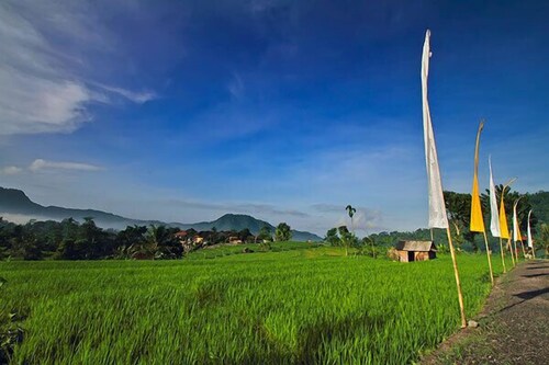 พื้นที่ภายนอก