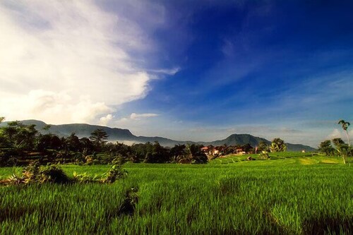 วิวภูเขา