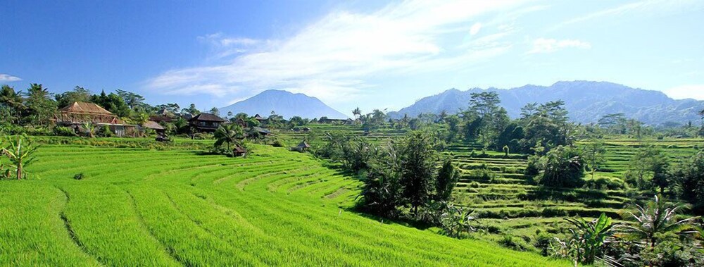 วิวจากโรงแรม