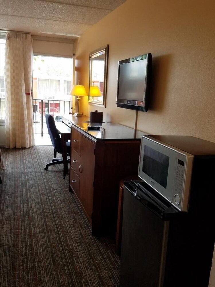 In-Room Amenity