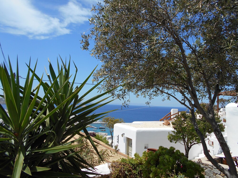 Guestroom View