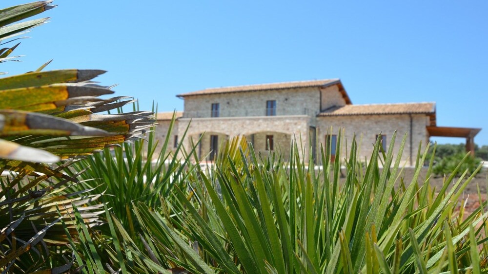 Parco della struttura