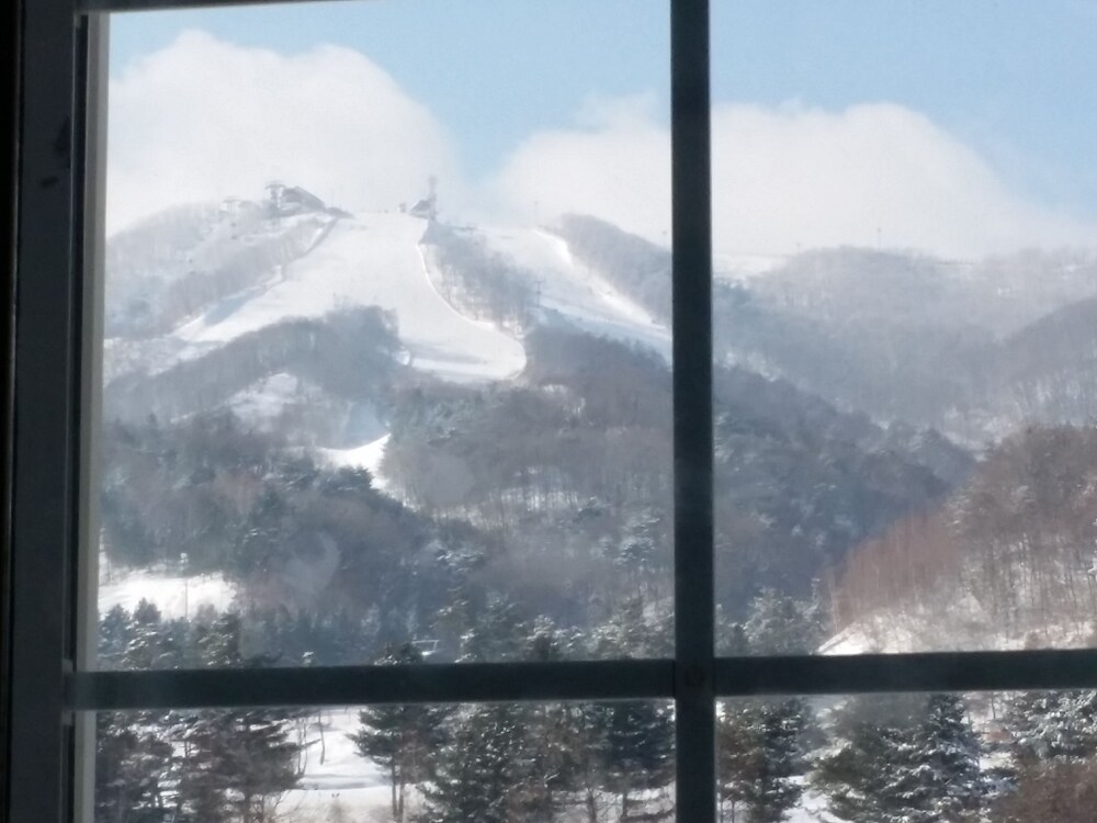 호텔에서의 전망
