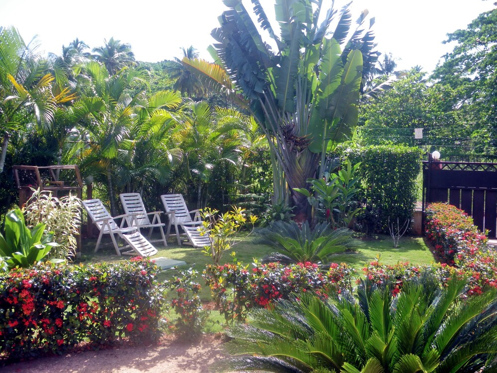 Giardino