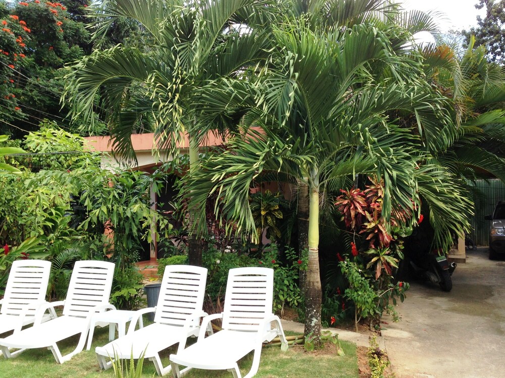 Giardino