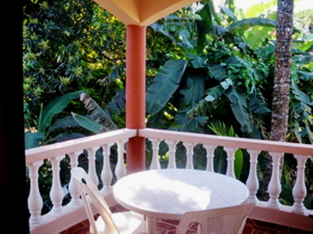 Terrazza/Patio (Monolocale)