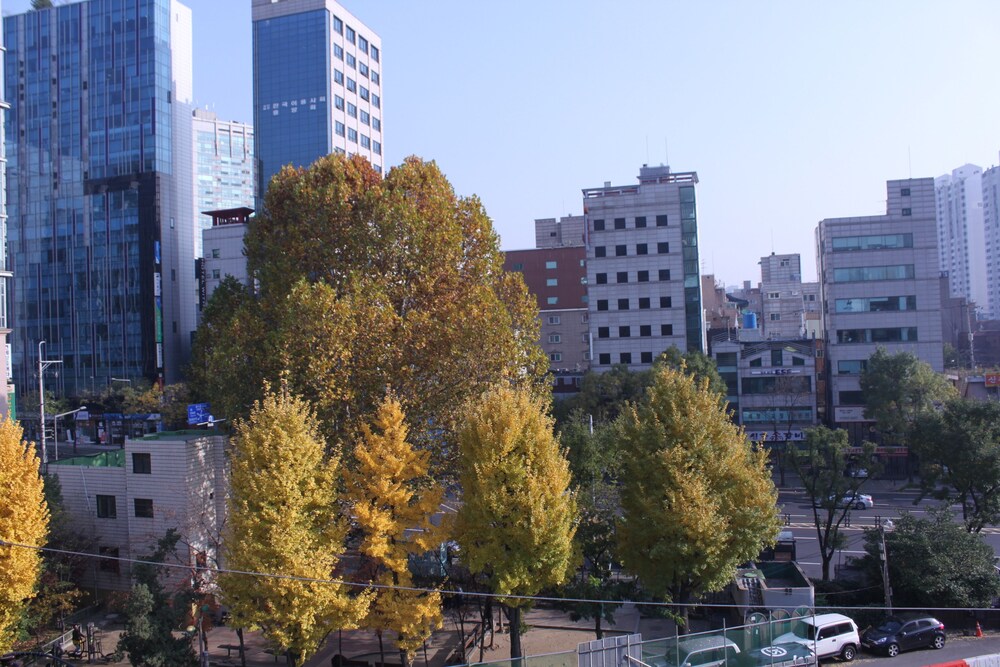 客房景觀