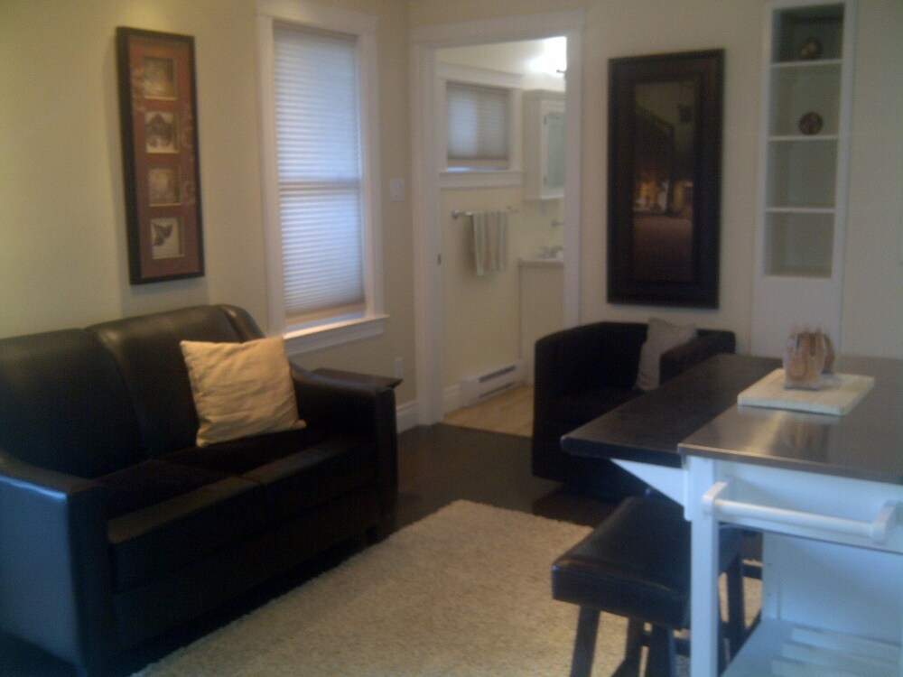 Apartment, 1 Bedroom, Accessible (Queen Bed) - Living Area