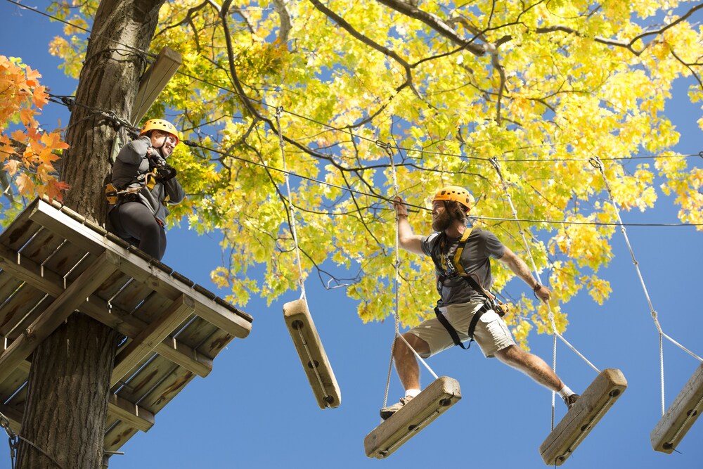 Ropes Course (Team Building)
