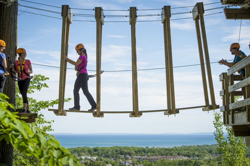 Ropes Course (Team Building)